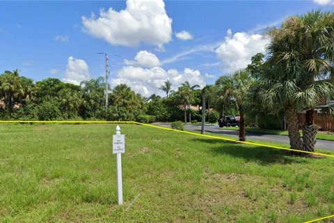 Land in Fort Myers, Florida № 2223505