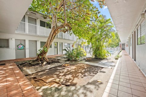 Apartment in Pinecrest, Florida 1 bedroom, 2588.26 sq.m. № 2030946