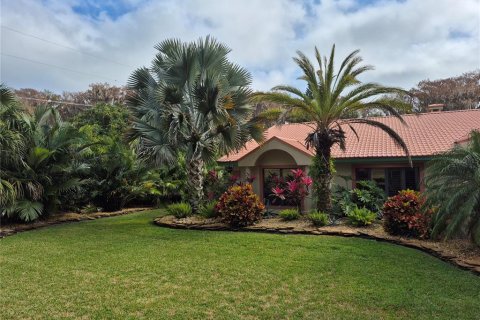 Villa ou maison à Leesburg, Floride 5 chambres, 410.72 m2 № 2105860