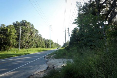 Terrain à vendre à Leesburg, Floride № 2226862 - photo 4