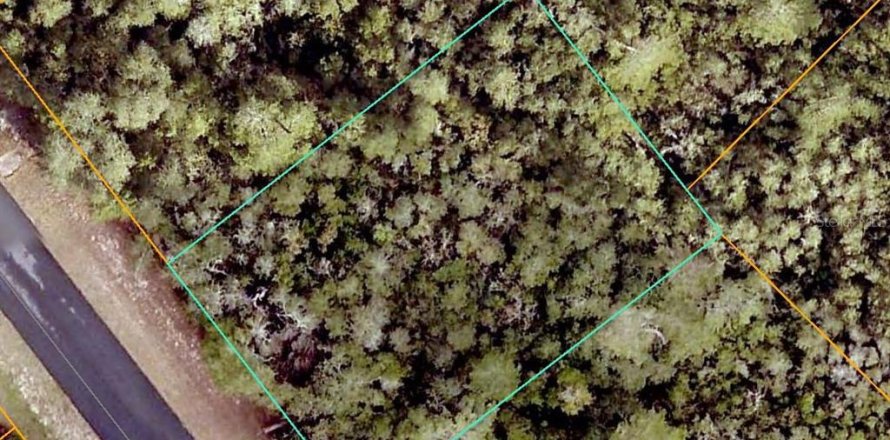 Terrain à Ocala, Floride № 2160642