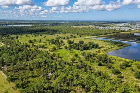 Land in Punta Gorda, Florida № 2130486 - photo 18