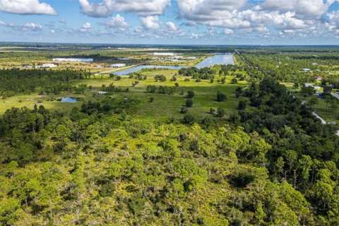 Land in Punta Gorda, Florida № 2130486 - photo 14
