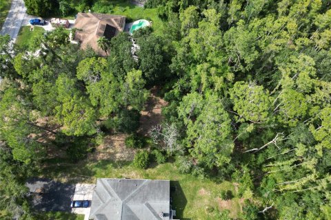Land in Wesley Chapel, Florida № 1297547 - photo 7