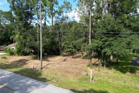 Land in Wesley Chapel, Florida № 1297547 - photo 8