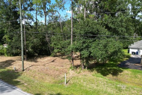Terreno en venta en Wesley Chapel, Florida № 1297547 - foto 9