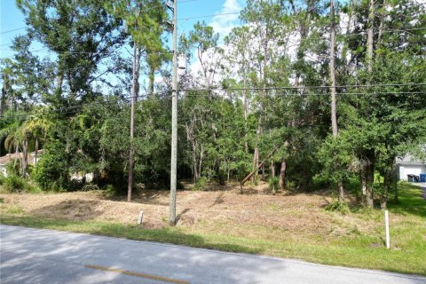 Terreno en Wesley Chapel, Florida № 1297547