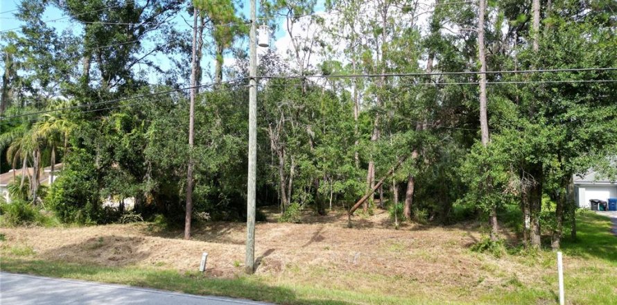 Terreno en Wesley Chapel, Florida № 1297547