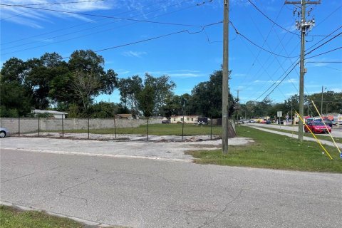 Terreno en venta en Tampa, Florida № 1555490 - foto 6