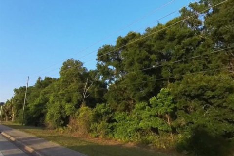 Land in DeBary, Florida № 2367530