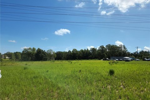 Terreno en Ocala, Florida № 2097986