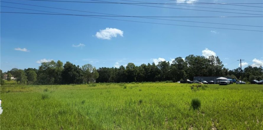 Terrain à Ocala, Floride № 2097986