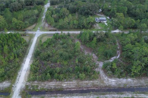 Land in Indian lake estates, Florida № 2371336 - photo 20