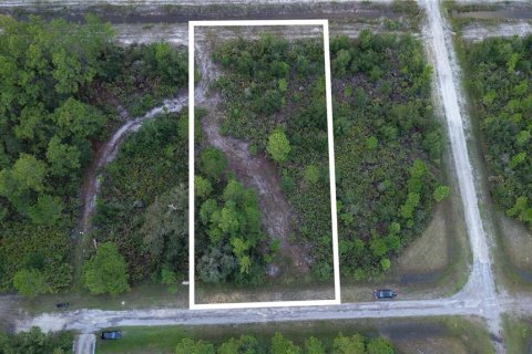 Land in Indian lake estates, Florida № 2371336 - photo 2