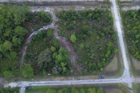 Land in Indian lake estates, Florida № 2371336 - photo 25