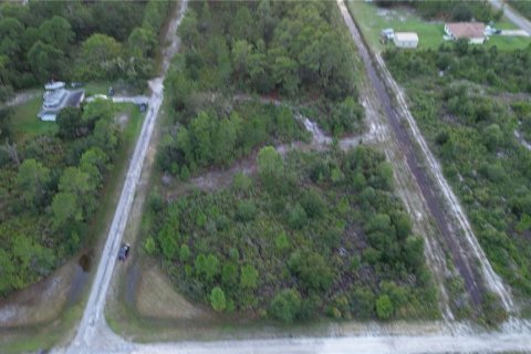 Land in Indian lake estates, Florida № 2371336 - photo 18