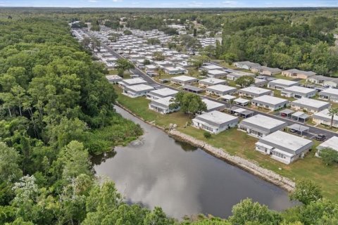 Condo in New Port Richey, Florida, 1 bedroom  № 2166968 - photo 2