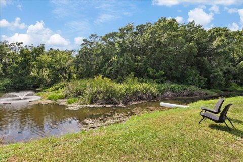 Condo in New Port Richey, Florida, 1 bedroom  № 2166968 - photo 27
