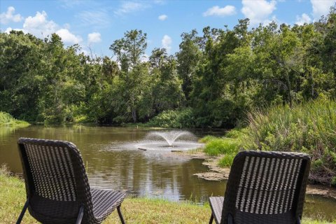 Condo in New Port Richey, Florida, 1 bedroom  № 2166968 - photo 6