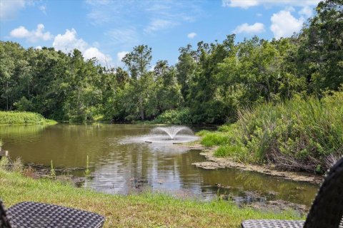 Condo in New Port Richey, Florida, 1 bedroom  № 2166968 - photo 26