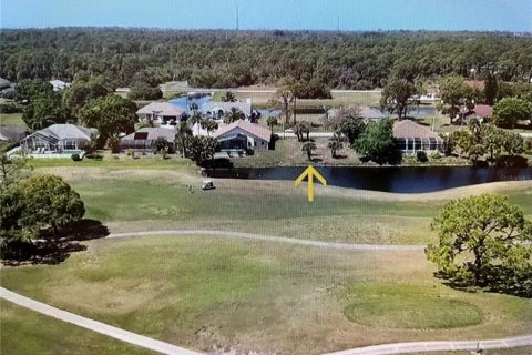 Land in Rotonda, Florida № 1842139 - photo 3