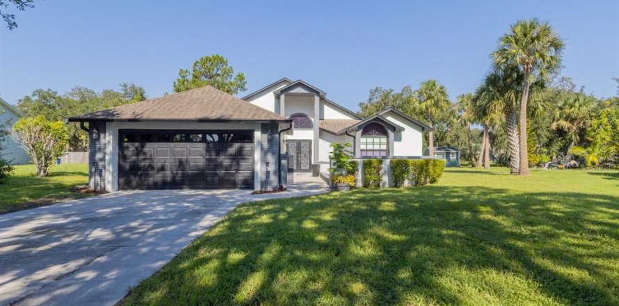 Villa ou maison à Kissimmee, Floride 3 chambres, 217.02 m2 № 1857877