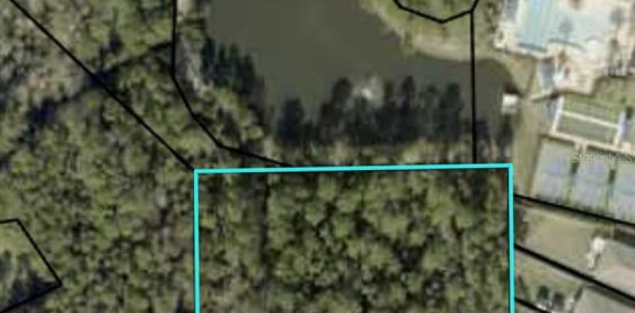 Land in Bunnell, Florida № 1380980