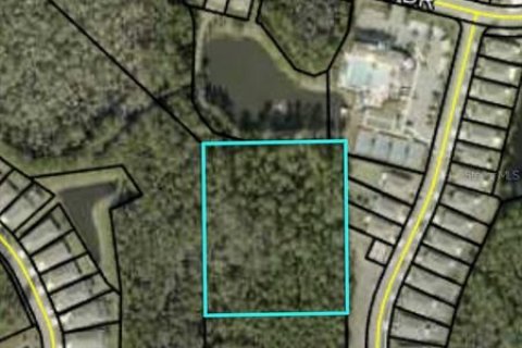 Land in Bunnell, Florida № 1380980 - photo 2