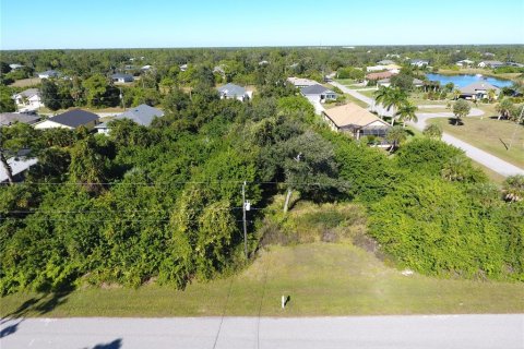 Land in Rotonda, Florida № 2165752 - photo 5