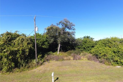 Land in Rotonda, Florida № 2165752 - photo 2