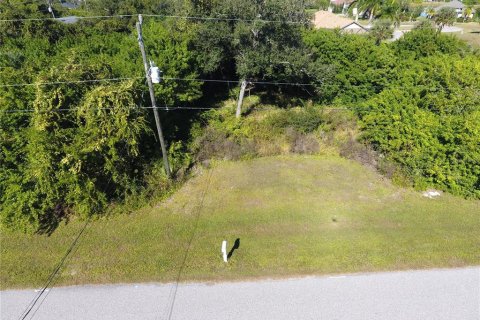 Land in Rotonda, Florida № 2165752