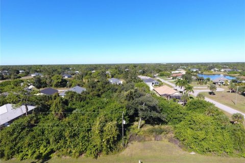 Land in Rotonda, Florida № 2165752 - photo 4
