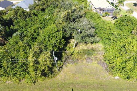 Land in Rotonda, Florida № 2165752 - photo 3