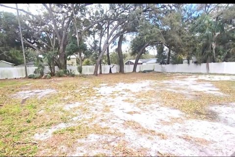 Villa ou maison à vendre à Tampa, Floride: 5 chambres, 207.36 m2 № 2156213 - photo 26