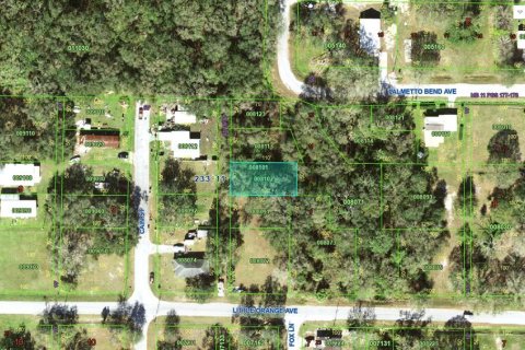 Land in Mulberry, Florida № 2161684