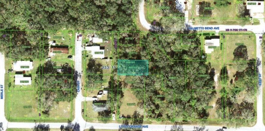 Land in Mulberry, Florida № 2161684