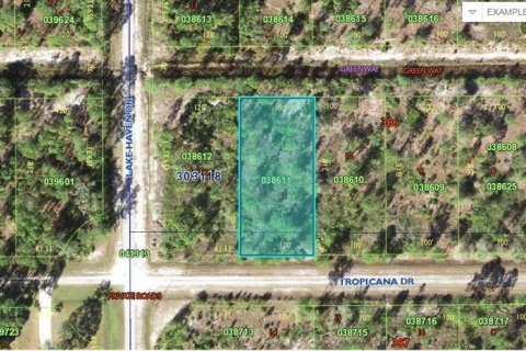 Land in Indian lake estates, Florida № 2162275