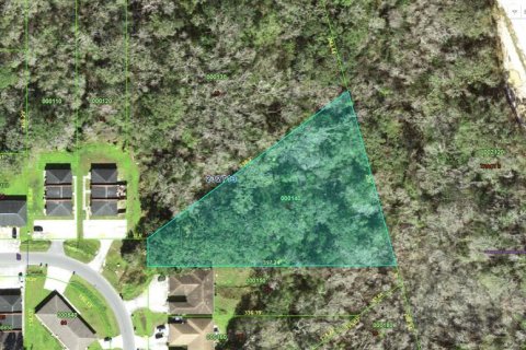 Land in Lakeland, Florida № 2109151