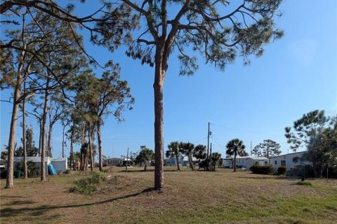 Land in Englewood, Florida № 1534692 - photo 2