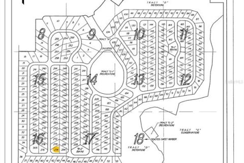 Land in Clermont, Florida № 1869334 - photo 5