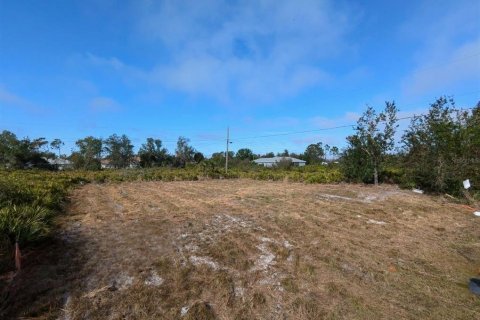 Terreno en venta en Englewood, Florida № 2228568 - foto 2