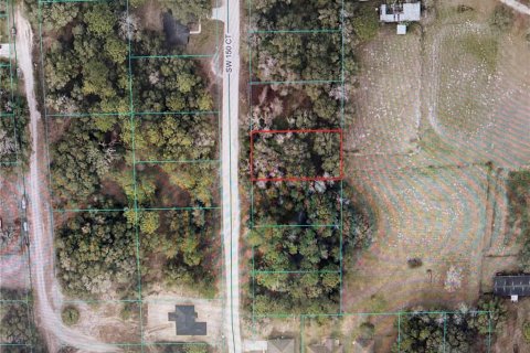 Land in Ocala, Florida № 2201146