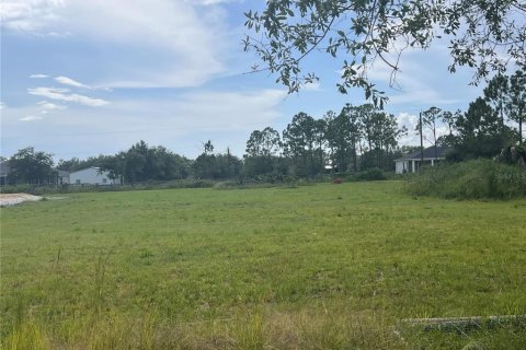 Terrain à vendre à Punta Gorda, Floride № 1869584 - photo 1