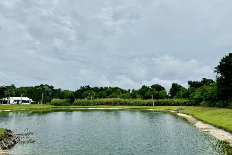 Land in Okeechobee, Florida № 1226945 - photo 1