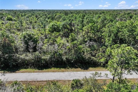 Terrain à Naples, Floride № 2155317