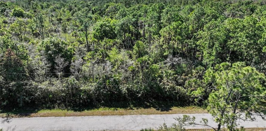 Terrain à Naples, Floride № 2155317