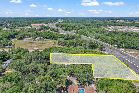 Land in Fruitland Park, Florida № 1570638 - photo 12