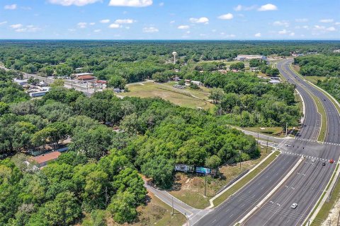Land in Fruitland Park, Florida № 1570638 - photo 17