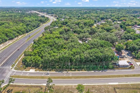 Land in Fruitland Park, Florida № 1570638 - photo 3