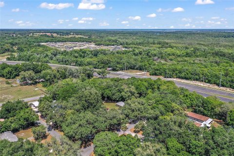 Land in Fruitland Park, Florida № 1570638 - photo 10